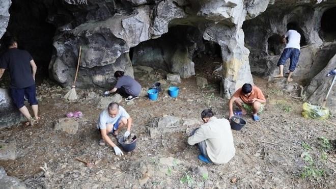 Hang Ngườm Sâu đã được các nhà khoa học nghiên cứu và khẳng định là di tích cổ sinh chứa hóa thạch động vật thuộc giai đoạn Pleistocene muộn, tiếp nối là văn hóa Bắc Sơn. Ảnh CVĐC