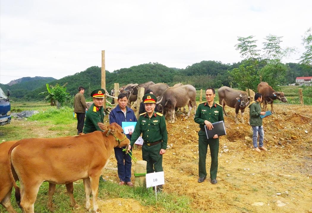 Theo Đại tá Nguyễn Văn Giá, mỗi hộ tham gia dự án được đơn vị cấp cho 02 con bò giống hoặc 02 con trâu giống để chăn nuôi phát triển sản xuất từng bước nâng cao thu nhập giúp giảm nghèo và phát triển kinh tế - xã hội tại địa phương Theo Đại tá Nguyễn Văn Giá, mỗi hộ tham gia dự án được đơn vị cấp cho 02 con bò giống hoặc 02 con trâu giống để chăn nuôi phát triển sản xuất từng bước nâng cao thu nhập giúp giảm nghèo và phát triển kinh tế - xã hội tại địa phương